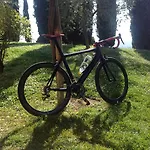 Tenuta Lupinari