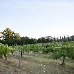 Tenuta Lupinari *