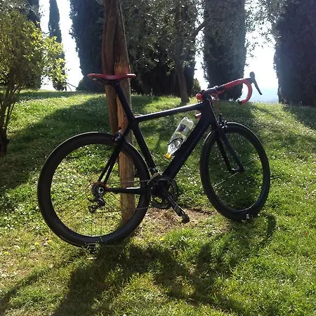 Tenuta Lupinari