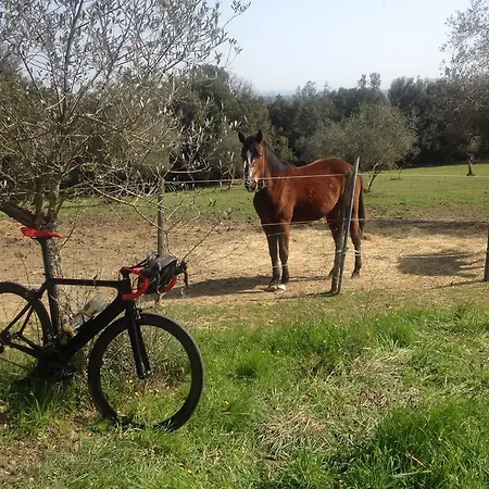 Tenuta Lupinari