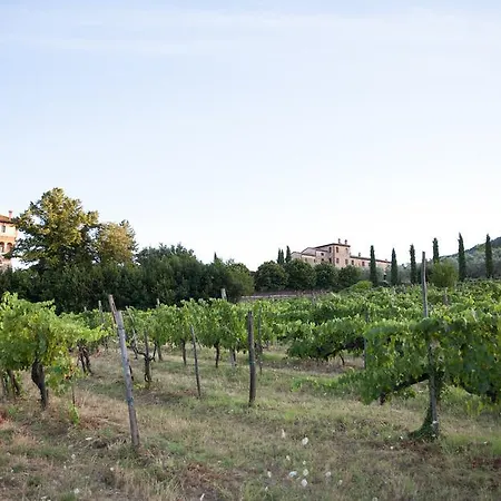 Tenuta Lupinari *