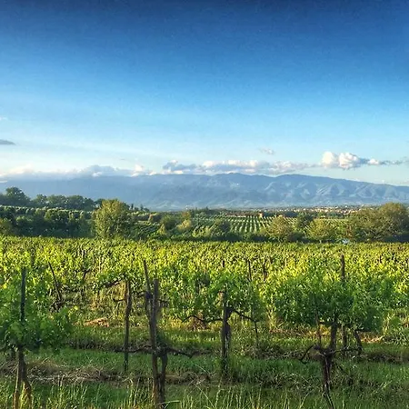 Tenuta Lupinari Farm stay Bucine