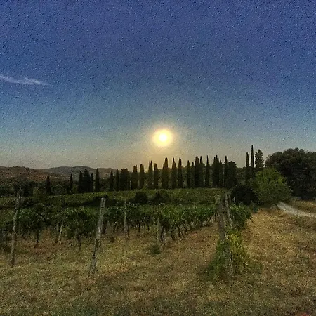 Tenuta Lupinari * Bucine