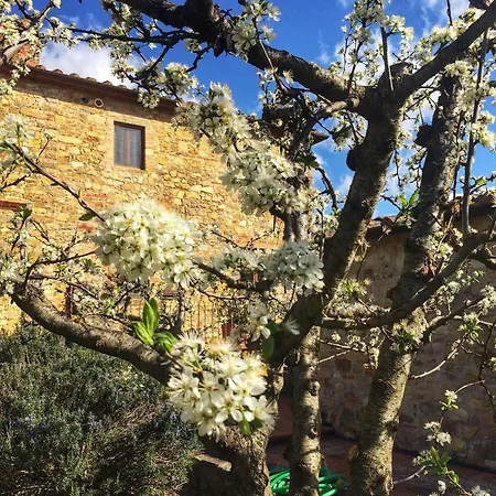 Tenuta Lupinari * Bucine